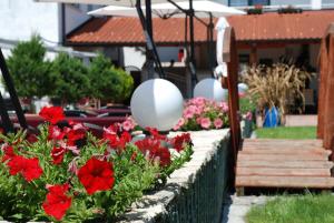 Zahrada ubytování Pension Sonnenhof