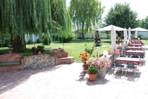 Zahrada ubytování Pension Sonnenhof