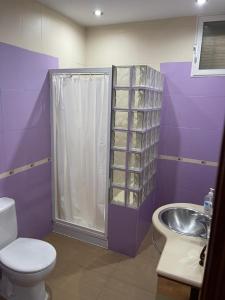 a bathroom with a toilet and a sink and a shower at Vivienda Fines Turísticos La Victoria in Jaén