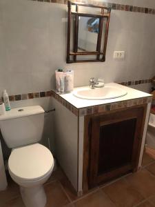 a bathroom with a toilet and a sink and a mirror at Les chambres de la Bastide in Saint-Sauveur-de-Montagut