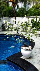a plant sitting on a table next to a pool at Gili Moonlight Retreat in Gili Air +60 photos