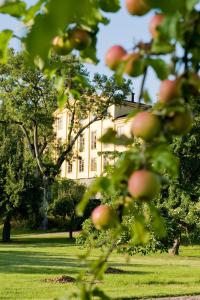 Zahrada ubytování Krusenberg Herrgård