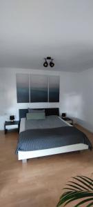 ein Schlafzimmer mit einem großen Bett in einem Zimmer in der Unterkunft FeWo Lindlar, Monteurwohnung in Lindlar