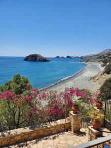 a view of a beach with pink flowers at Villa Koutsakis in Kali Limenes
