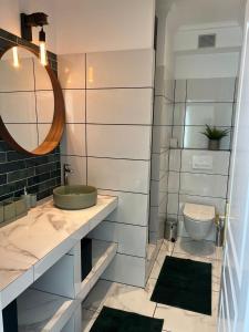 een badkamer met een wastafel en een toilet bij Maison au bord de l'eau et au calme pour les vacances in Saint-Denis-de-Pile