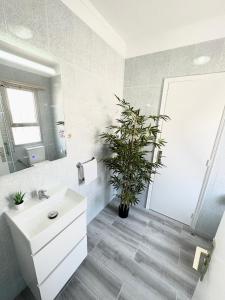 Un baño con un lavabo y una planta en maceta. en CHALET 273 con PISCINA PRIVADA, en Callao Salvaje