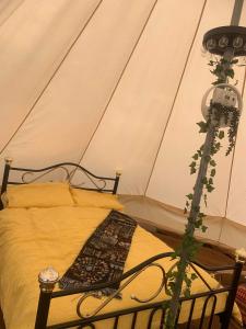 Habitación con cama y lámpara con planta en Camping By The River 