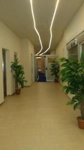 an empty hallway with potted plants in a building at AFAFET TERMAL in Yalova