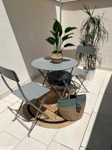 a table and two chairs and a table with a potted plant at Apartment Hotel Marchesini in Ravenna