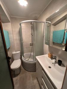 une salle de bains avec douche, toilettes et lavabo dans l'établissement Apartamentul Oaspetilor, à Slatina
