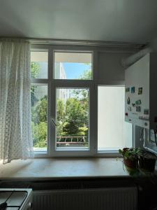 a kitchen window with a view of a tree at Apartamentul Oaspetilor in Slatina