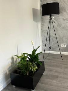 una habitación con una mesa negra con plantas. en Hugo, en Jēkabpils