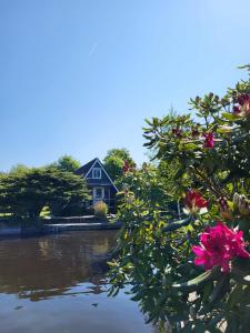 a house sitting next to a pond with flowers at Ferienhaus Brungers in Südbrookmerland