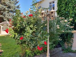 een tuin met rode rozen en een straatlicht bij Villa Dorothea in Heringsdorf