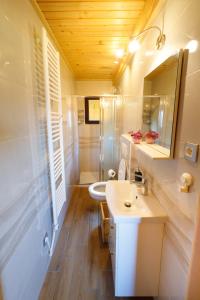 a bathroom with a sink and a toilet and a mirror at Bomas house in Cerkno