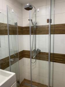 ein Bad mit einer Dusche und einem Waschbecken in der Unterkunft Niko's deluxe apartment in Sofia