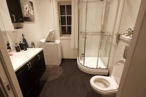 W łazience znajduje się prysznic, toaleta i umywalka. w obiekcie Frittliggende hytte ved Indalsälven i Duved - Åre w mieście Duved