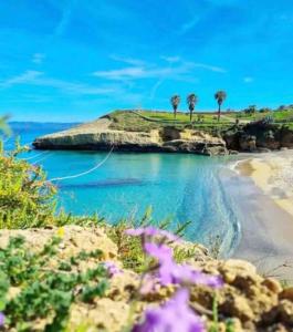 a view of a beach with palm trees in the background at Casa sul mare in Porto Torres