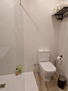 La salle de bains blanche est pourvue d'une douche et de toilettes. dans l'établissement Estudio céntrico zona palacio, à Madrid