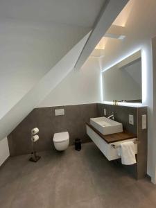 a bathroom with a white toilet and a sink at DRIEHOF Panorama Apartment Apt 8 in Tecklenburg