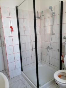 a bathroom with a shower and a toilet at Bolf in Novigrad Istria