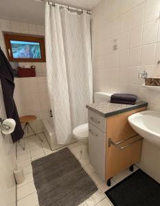 W łazience znajduje się umywalka, toaleta i prysznic. w obiekcie Gartenhäuschen im Grünen w mieście Bad Aibling
