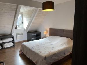 a bedroom with a large bed in a attic at Duplex 10 personnes in Saint-Lary-Soulan