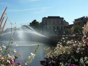a fountain in the middle of a body of water at Appartement-terrasse parking privé Meublé de Tourisme 4 étoiles in Belfort