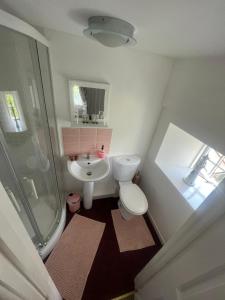 a bathroom with a shower and a toilet and a sink at Broadmoor Farm in Kilgetty