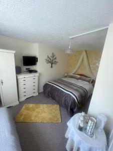 a bedroom with a bed and a tv and a table at Broadmoor Farm in Kilgetty