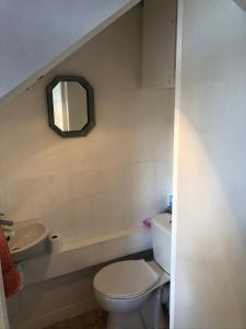 a bathroom with a toilet and a sink and a mirror at Gîte des Roses in Oradour-Fanais