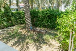 Zahrada ubytování Fujairah Hotel & Resort