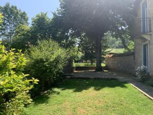 een tuin met een boom en een huis bij Le Tilleul des Cloux in Auxey-Duresses