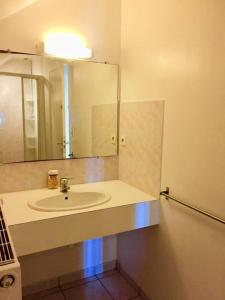 La salle de bains est pourvue d'un lavabo et d'un miroir. dans l'établissement Cottage du château, à Erbrée