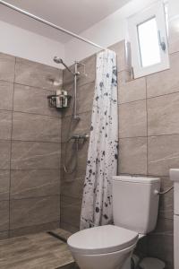 a bathroom with a toilet and a shower curtain at Spinning la Divici in Divici +80 photos