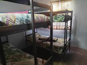 kilka łóżek piętrowych w pokoju w obiekcie Graskop family retreat and backpackers w mieście Graskop
