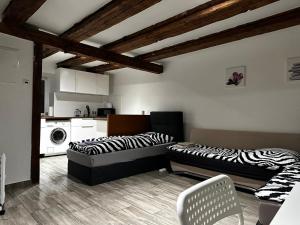 柏林的住宿－Nice studio in Pankow，一间带两张床的客厅和一间厨房