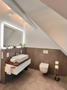 a bathroom with a sink and a toilet at DRIEHOF Panorama Apartment Apt 9 in Tecklenburg
