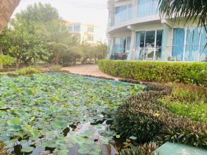 O grădină în afara Trincomalee Ocean Front Condos