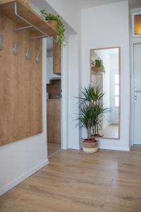 Küche/Küchenzeile in der Unterkunft Apartment Dina