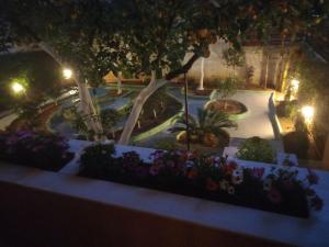 a view of a garden at night with flowers at LUXURY AND COMFORTABLE VILLA in Athens