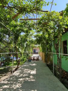 a walkway with trees and a green building at May Weather Resort in Bukhara