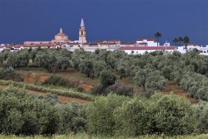 un campo de árboles con un edificio en el fondo en Hostal Ciudad Trigueros, en Trigueros