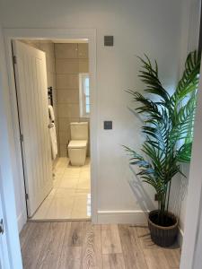 a bathroom with a toilet and a potted plant at Swan House - 5 x Executive Apartments - Central Bawtry in Bawtry