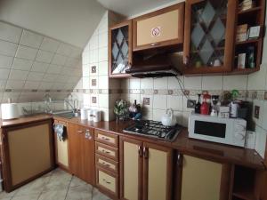 a kitchen with a counter top with a microwave at Willa Kolorowa Chata in Mysłakowice