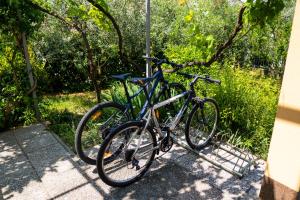 zwei Fahrräder stehen neben einer Stange. in der Unterkunft Apartments Dani in Izola