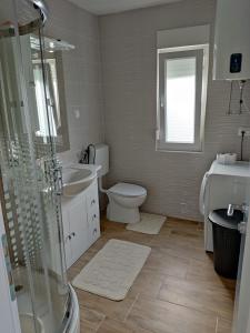 a bathroom with a shower and a toilet and a sink at Apartman Nika in Novi Vinodolski