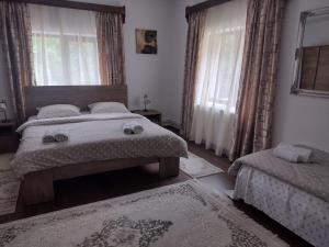 a bedroom with two beds and two windows at Casa Radu Novaci in Novaci-Străini