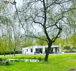 Zahrada ubytování Vakantiewoning Blijbos