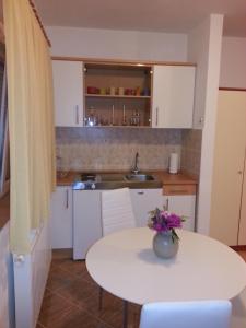 Кухня или мини-кухня в New Studio Apartments Trlaja

